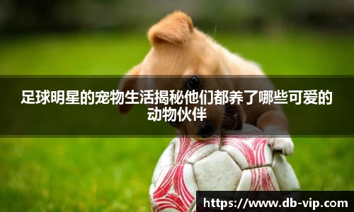 vwin德赢ac米兰官网